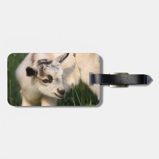 Cute Baby Goat Bagagelabel (Achterkant horizontaal)