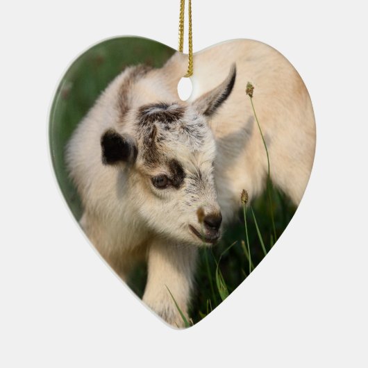 Cute Baby Goat Keramisch Ornament (Rechts)