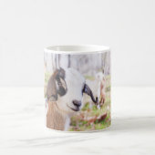Cute Baby Goat Kitchen Tea & Coffee Mok (Center)
