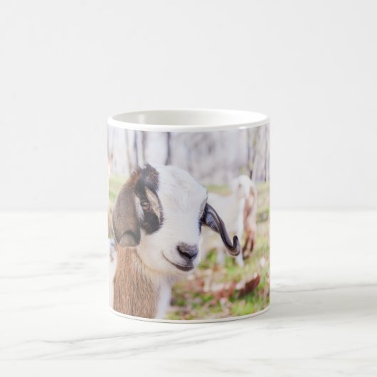 Cute Baby Goat Kitchen Tea & Coffee Mok (Center)