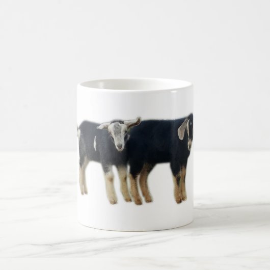 Cute Baby Goat Mok (Center)