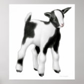 Cute Baby Goat Print (Voorkant)