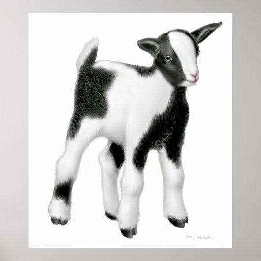 Cute Baby Goat Print (Voorkant)