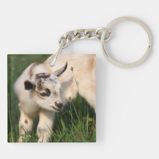 Cute Baby Goat Sleutelhanger (Achterkant)
