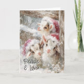 Cute Baby Goats - Snow Babies 10 Christmas Feestdagen Kaart (Voorkant)