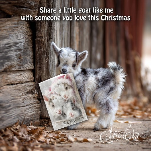 Cute Baby Goats - Snow Babies 3 Christmas Feestdagen Kaart