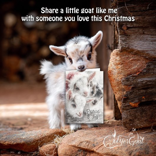 Cute Baby Goats - Snow Babies 4 Christmas Feestdagen Kaart