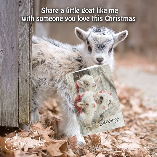 Cute Baby Goats - Snow Babies 9 Christmas Feestdagen Kaart
