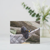 Cute baby gorilla die je eet en kijkt briefkaart (Staand voorkant)