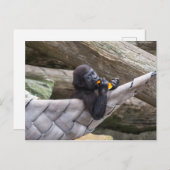 Cute baby gorilla die je eet en kijkt briefkaart (Voorkant / Achterkant)