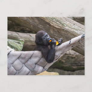 Cute baby gorilla die je eet en kijkt briefkaart