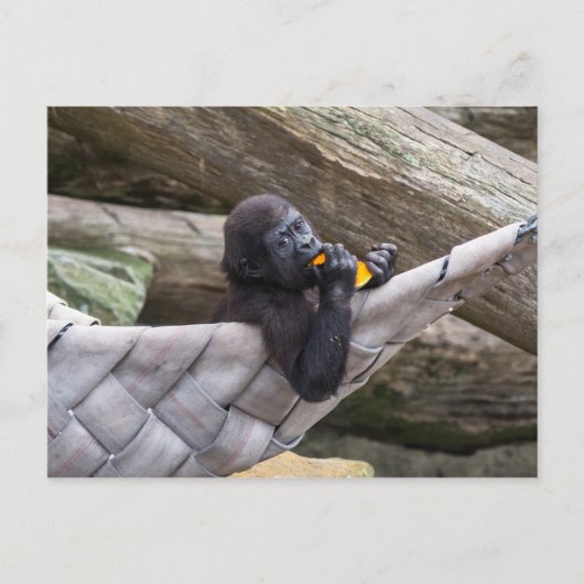 Cute baby gorilla die je eet en kijkt briefkaart (Voorkant)