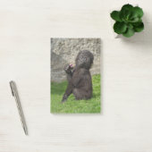 Cute Baby Gorilla Post-it® Notes (Kantoor)