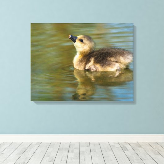 Cute baby Greylag goose Canvas Afdruk (Insitu (Houten vloer))