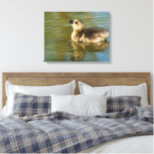 Cute baby Greylag goose Canvas Afdruk (Insitu (Slaapkamer))