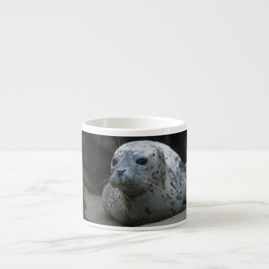 Cute Baby Harbour Seal die op strand kijkt Espresso Kop (Voorkant)