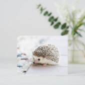 Cute Baby Hedegel Animal Briefkaart (Staand voorkant)