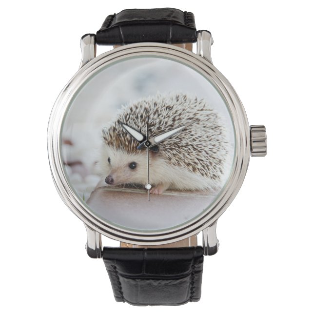 Cute Baby Hedegel Animal Horloge (Voorkant)
