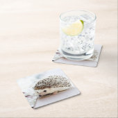 Cute Baby Hedegel Animal Kartonnen Onderzetters (Insitu)