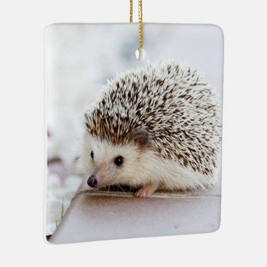 Cute Baby Hedegel Animal Keramisch Ornament (Rechts)