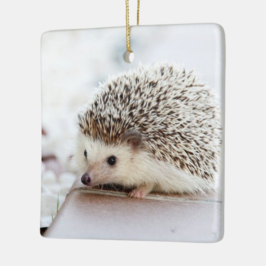 Cute Baby Hedegel Animal Keramisch Ornament (Links)