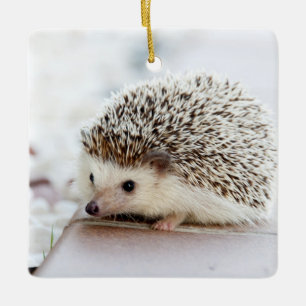 Cute Baby Hedegel Animal Keramisch Ornament