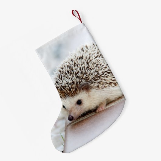 Cute Baby Hedegel Animal Kleine Kerstsok (Achterkant (Hangend))