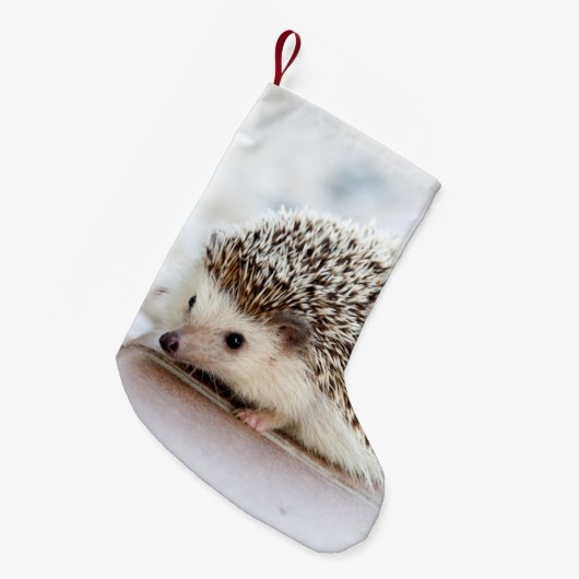 Cute Baby Hedegel Animal Kleine Kerstsok (Voorkant (Hangend))