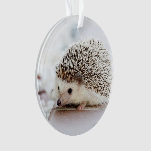 Cute Baby Hedegel Animal Ornament (voorkant)
