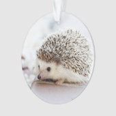 Cute Baby Hedegel Animal Ornament (voorkant)