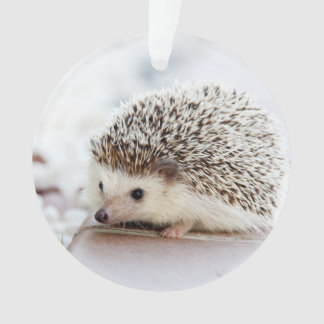 Cute Baby Hedegel Animal Ornament