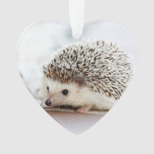 Cute Baby Hedegel Animal Ornament