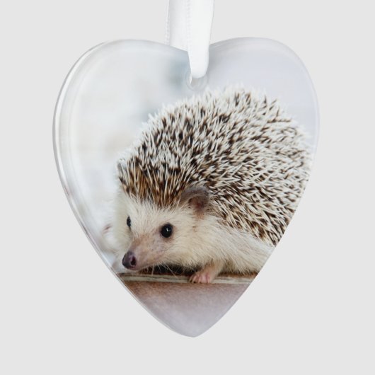 Cute Baby Hedegel Animal Ornament (voorkant)