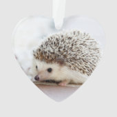 Cute Baby Hedegel Animal Ornament (achterkant)