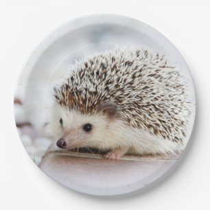 Cute Baby Hedegel Animal Papieren Bordje