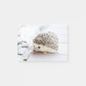 Cute Baby Hedegel Animal Post-it® Notes (Voorkant)