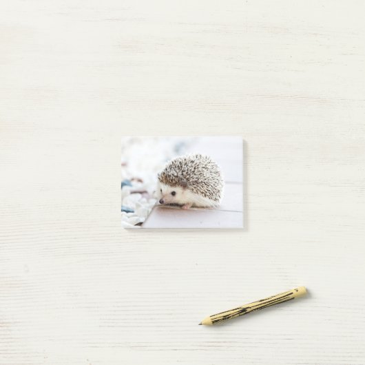 Cute Baby Hedegel Animal Post-it® Notes (Op bureau)