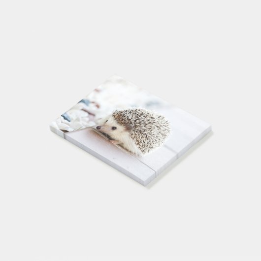 Cute Baby Hedegel Animal Post-it® Notes (Schuin)