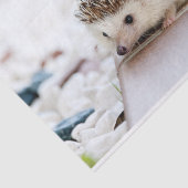 Cute Baby Hedegel Animal Tissuepapier (Detail)