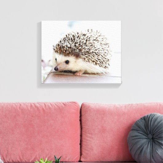Cute Baby Hedegel Canvas Afdruk (Insitu (Woonkamer))