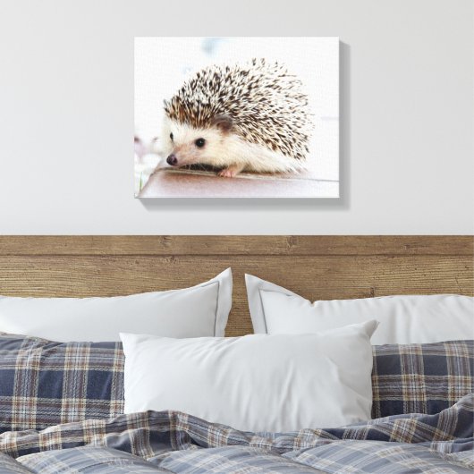 Cute Baby Hedegel Canvas Afdruk (Insitu (Slaapkamer))