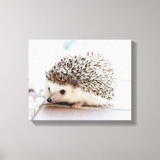 Cute Baby Hedegel Canvas Afdruk (Voorkant)