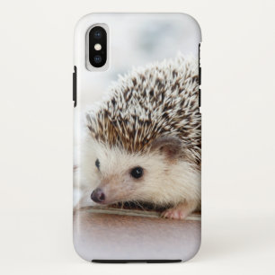Cute Baby Hedegel iPhone X Hoesje