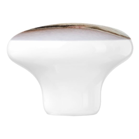 Cute Baby Hedegel Keramische Knop (Zijkant)