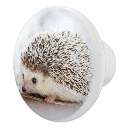 Cute Baby Hedegel Keramische Knop (Rechts)