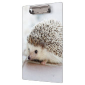 Cute Baby Hedegel Klembord (Links)