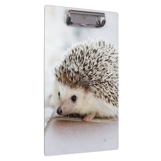 Cute Baby Hedegel Klembord (Rechts)