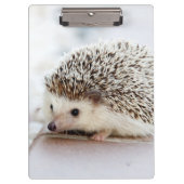 Cute Baby Hedegel Klembord (Voorkant)