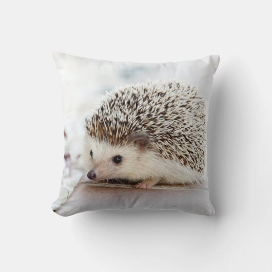 Cute Baby Hedegel Kussen (Voorkant)