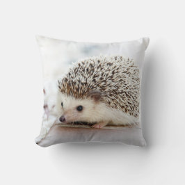 Cute Baby Hedegel Kussen